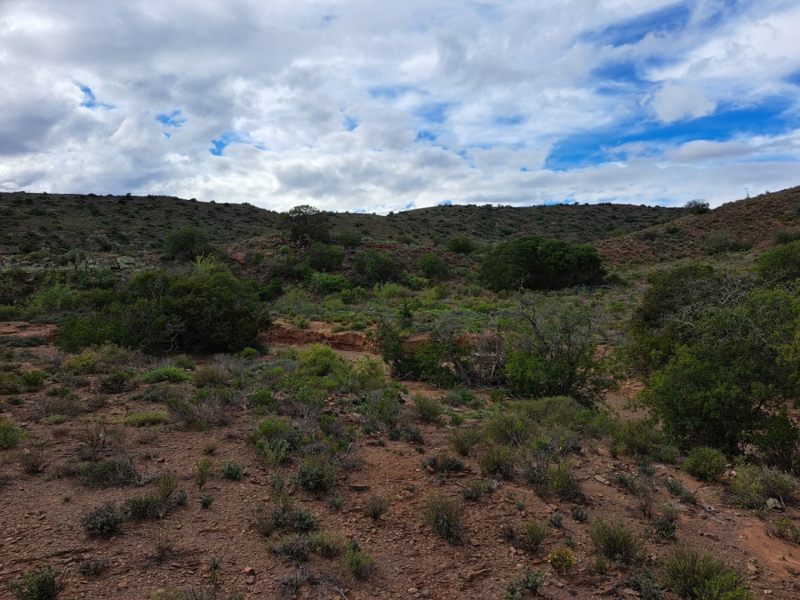  Bedroom Property for Sale in Van Wyksdorp Western Cape